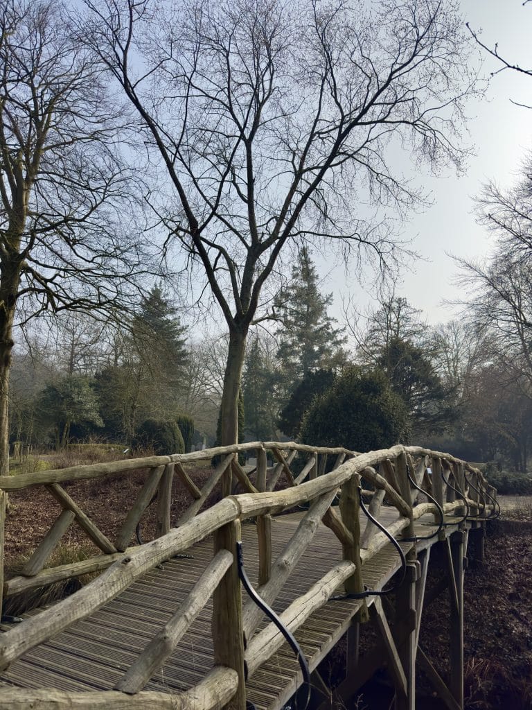 Park natuurbegraven Algemene Begraafplaats
