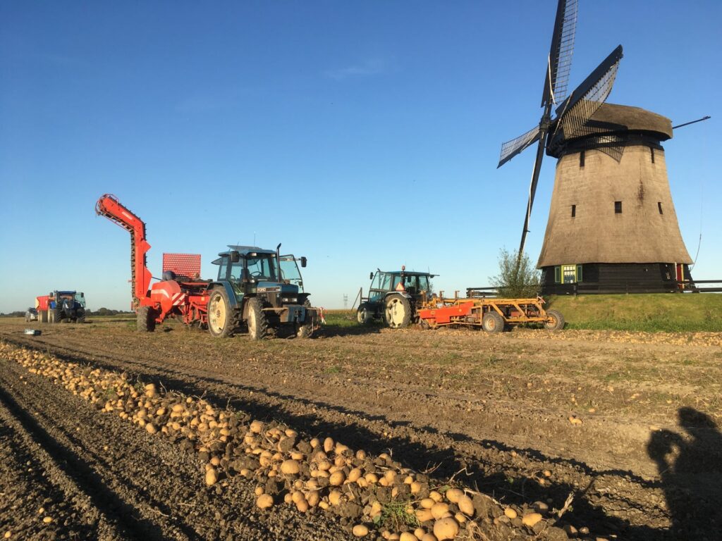 Landbouwvoertuigen oogsten aardappelen op een akker bij een molen in de gemeente Alkmaar.