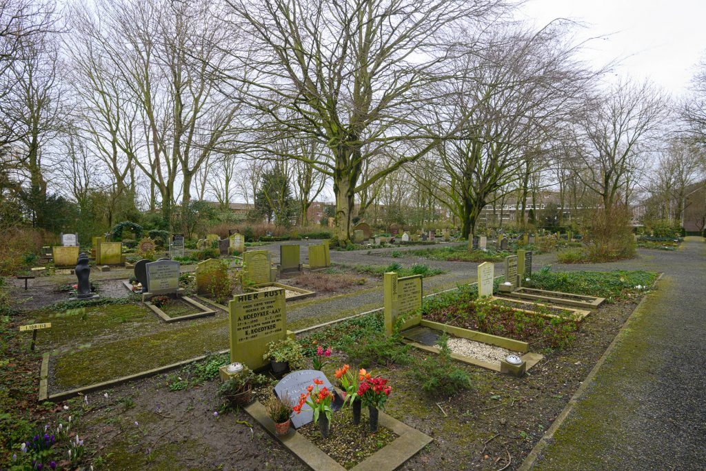 verschillende graven en bomen op begraafplaats koedijk