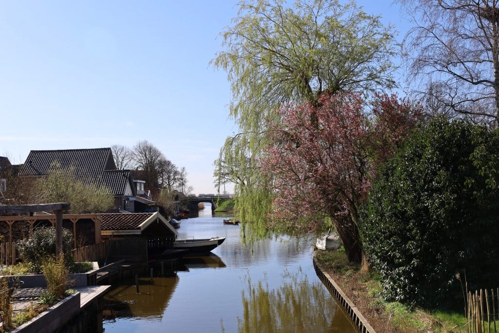Foto sloot met boot en bomen