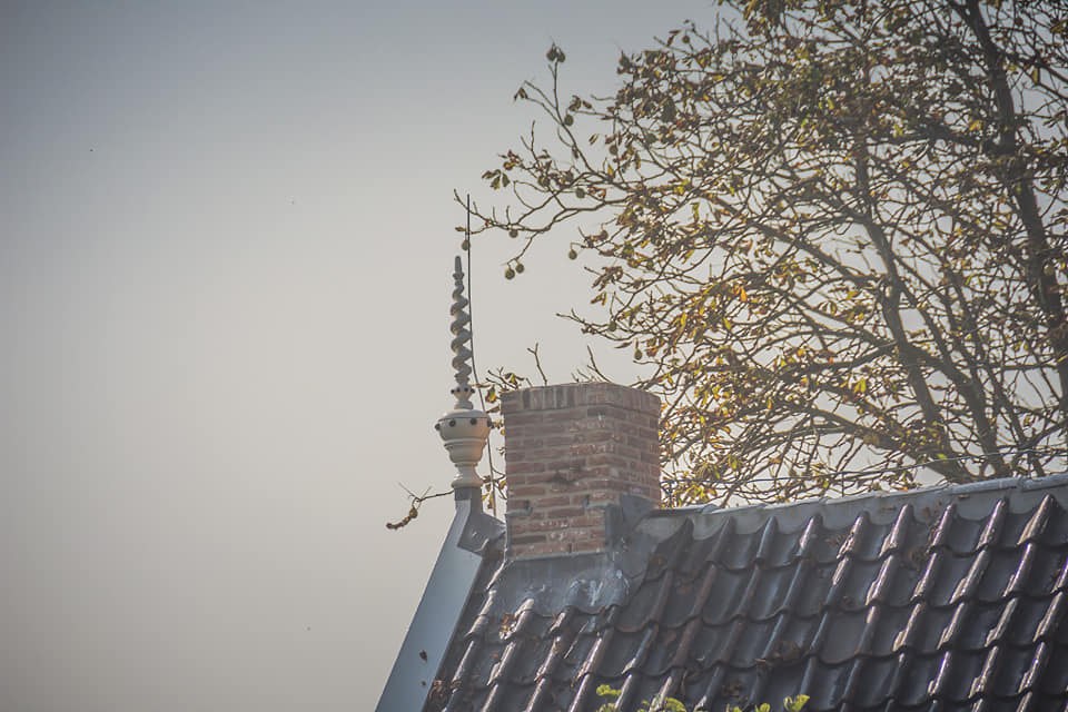 Ribmakelaar in de vorm van een kurkentrekker