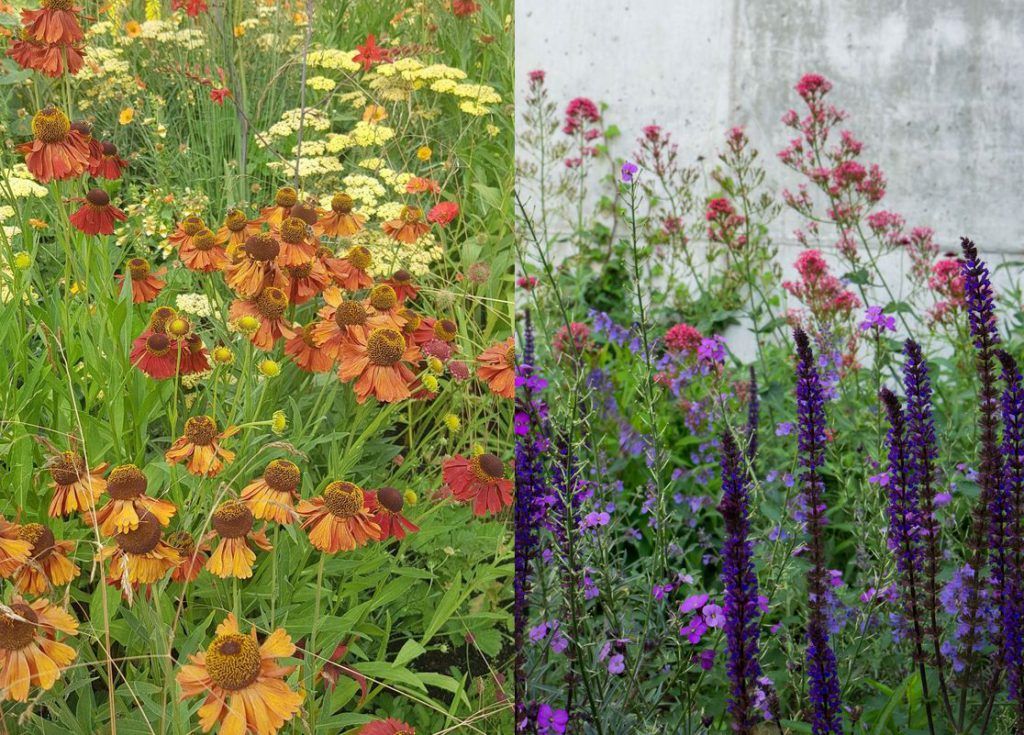 Er komen diverse vakken met bloemen