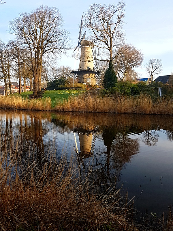 Molen van Piet overzicht