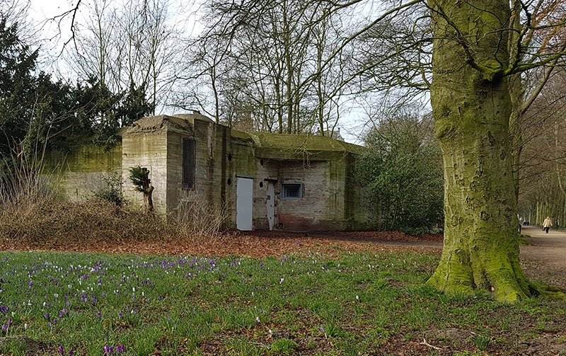 Buitenkant Bunker Alkmaarder Hout