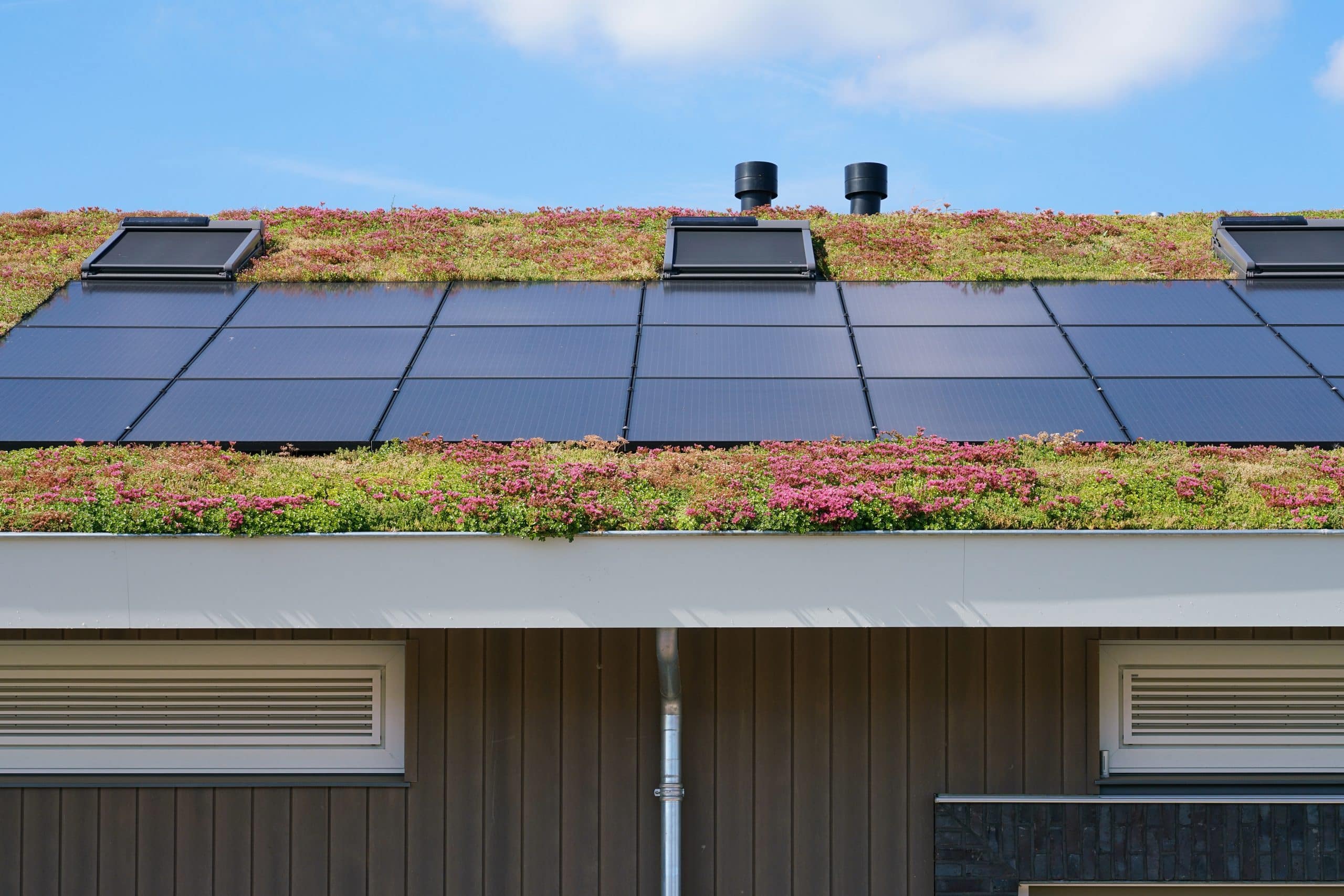Zonnepanelen