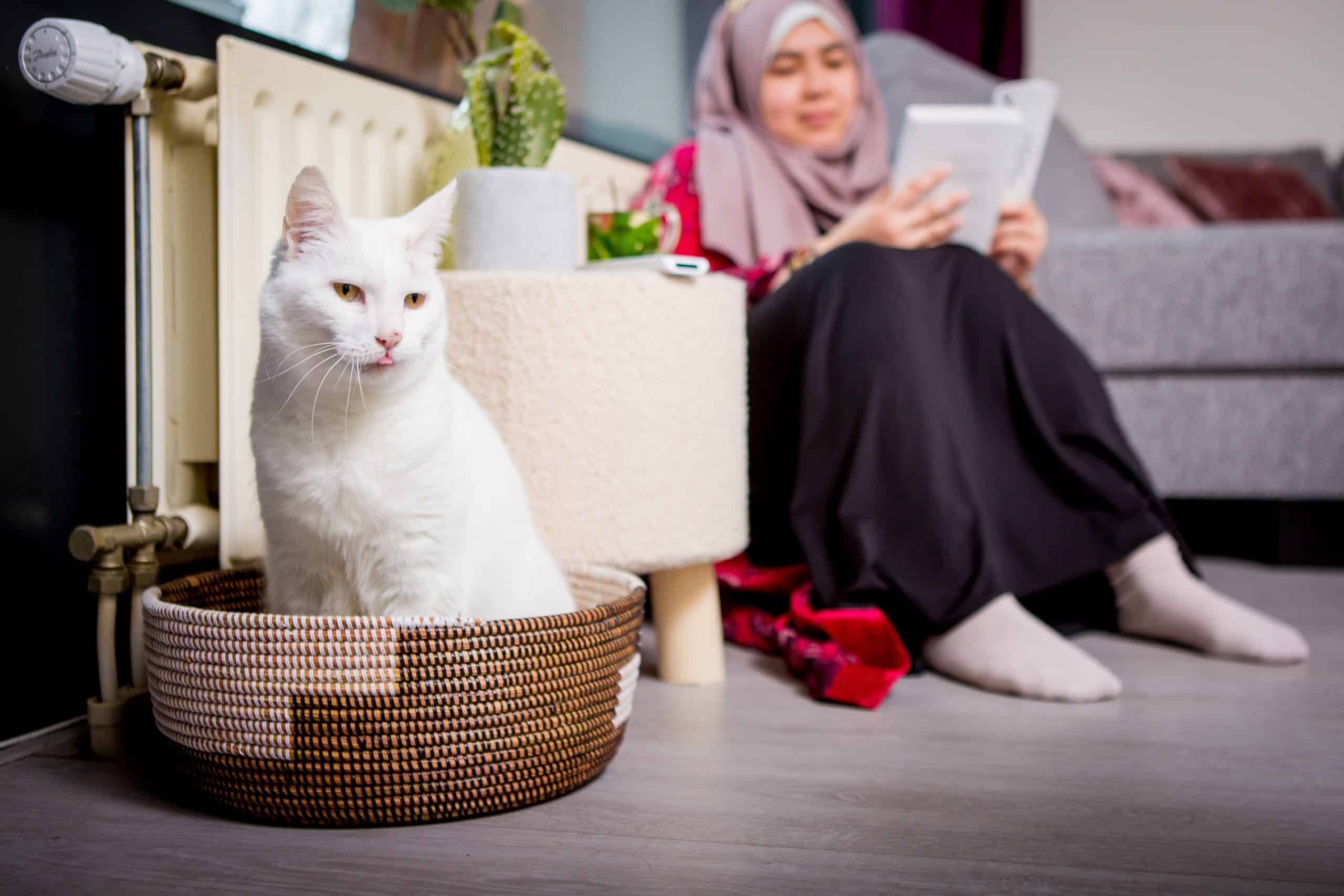 Vrouw zit op de warme vloer en bij warme radiator, leest een boek, op de voorgrond een witte kat in een mandje