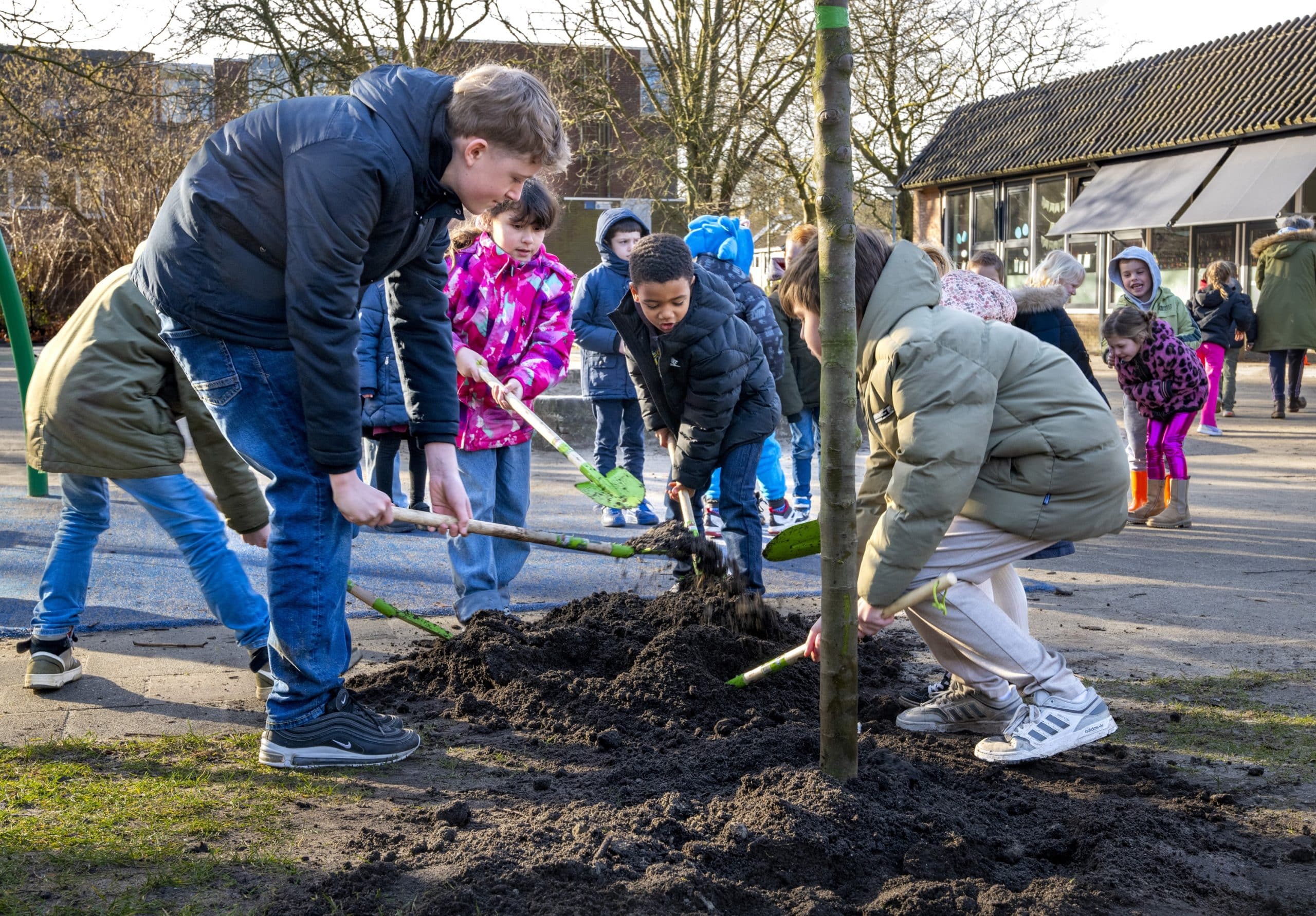 Kinderen scheppen aarde om het gat rond een net geplante boom op te vullen. 