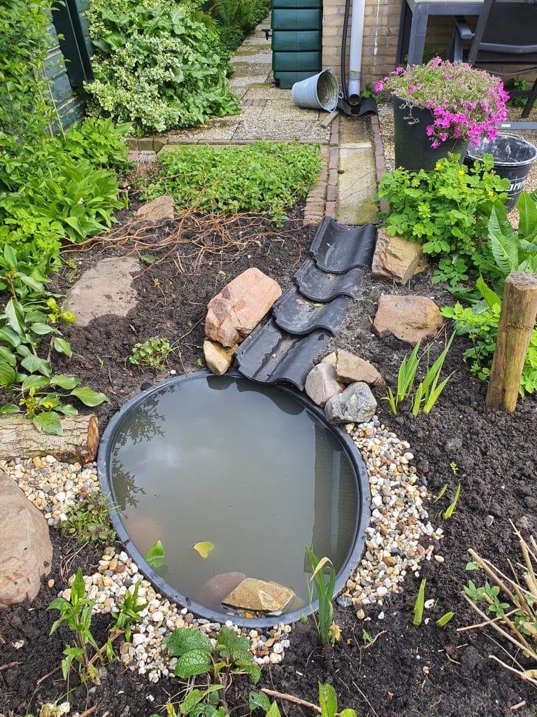Regenpijp afgekoppeld van het riool, via een gootje van dakpannen en stenen loopt het water naar een regenwatervijver.